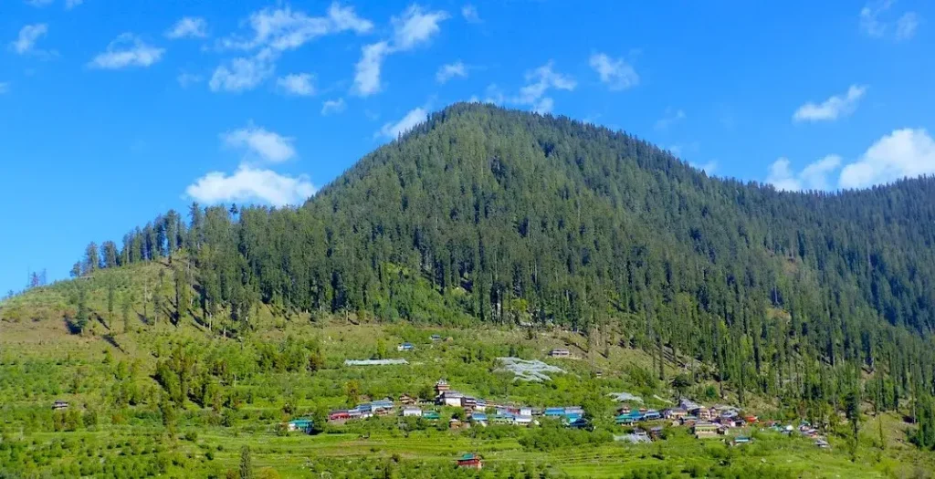 Palachan Valley Himachal Pradesh