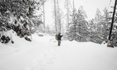 Shimla Winter Tour Packages