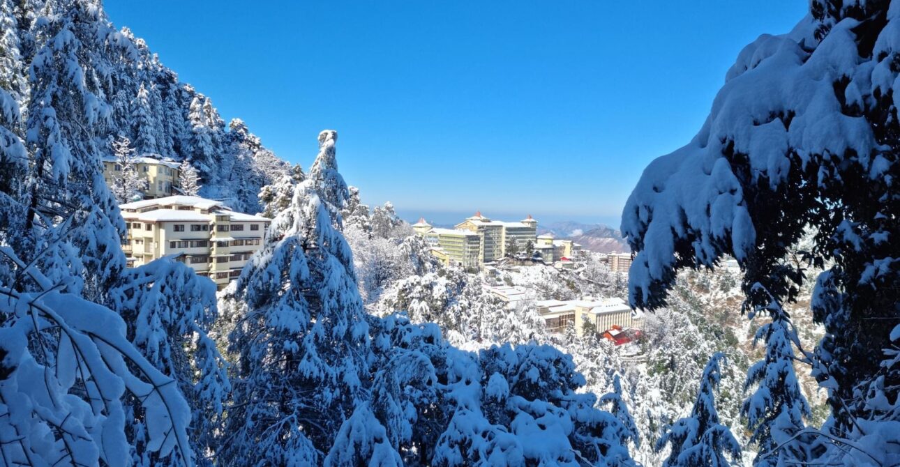 Ready for Snow? Plan Your Shimla Winter Vacation with Himalayan Traveling