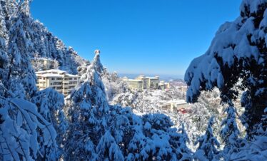 Shimla Winter Vacations