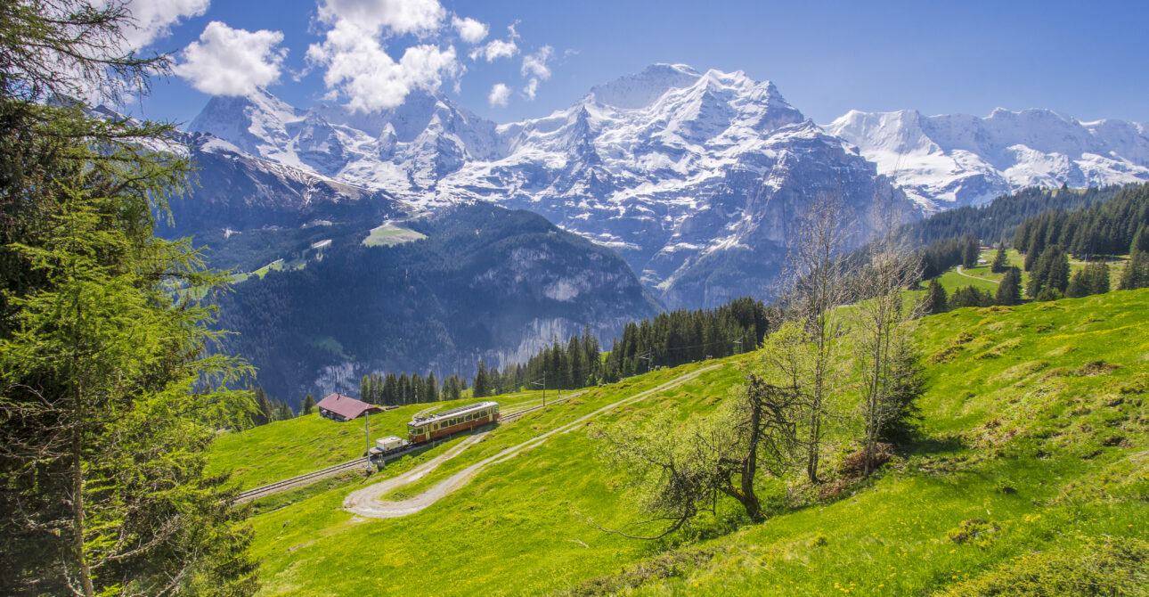 Himachal Tour and Travel Operators for Customized Itineraries Local Guide