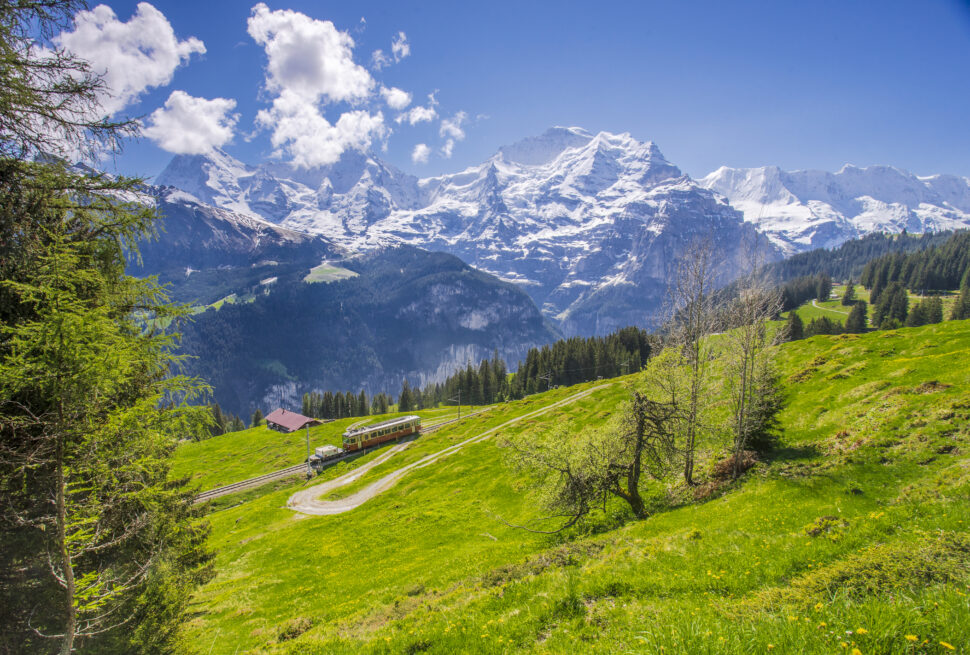 Scenic train passing through green meadows with snowy Swiss Alps mountains in the Himachal Tour and Travel Operators background.